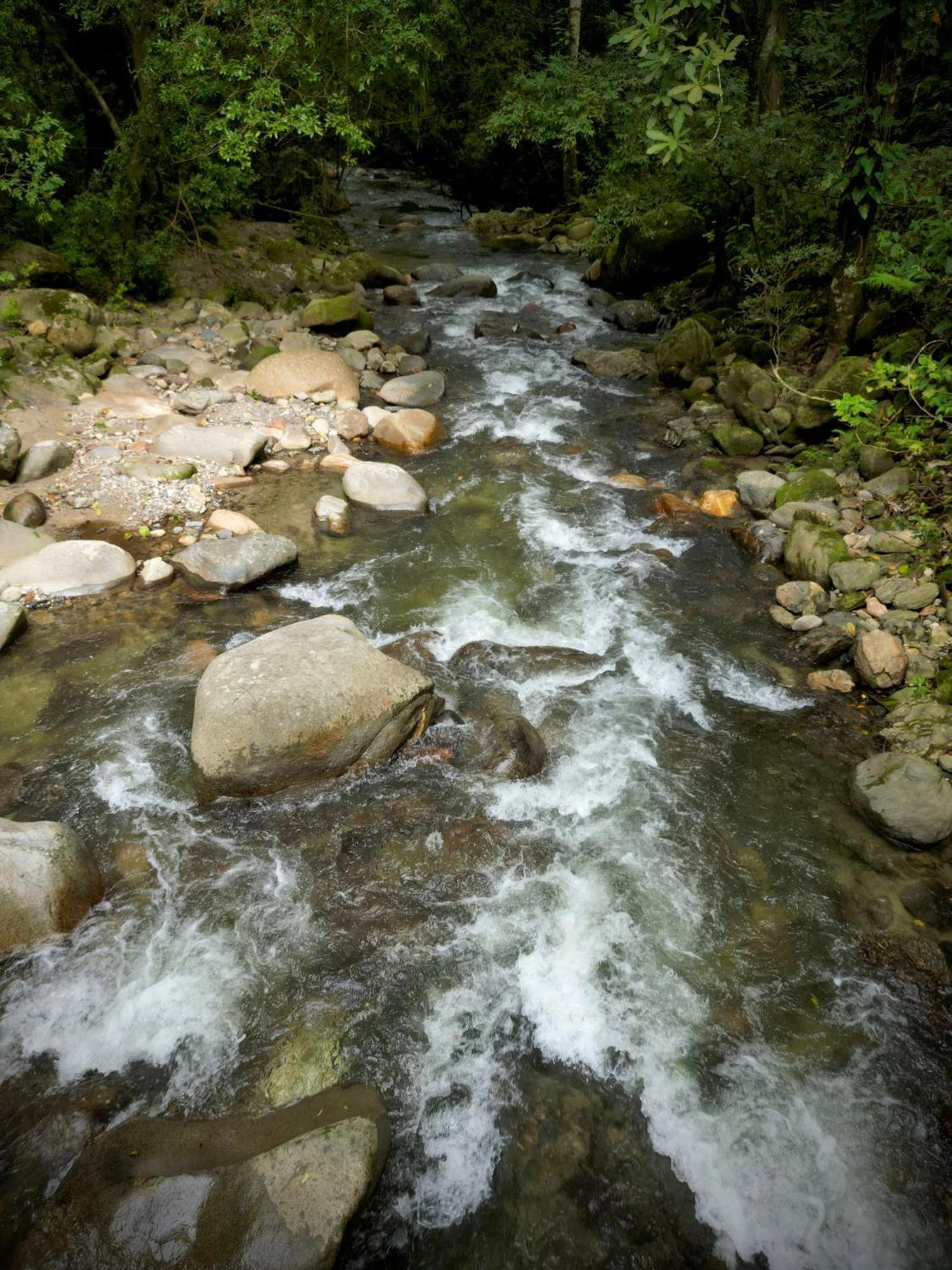 Las Cabanas Del Rio Minca Exteriér fotografie