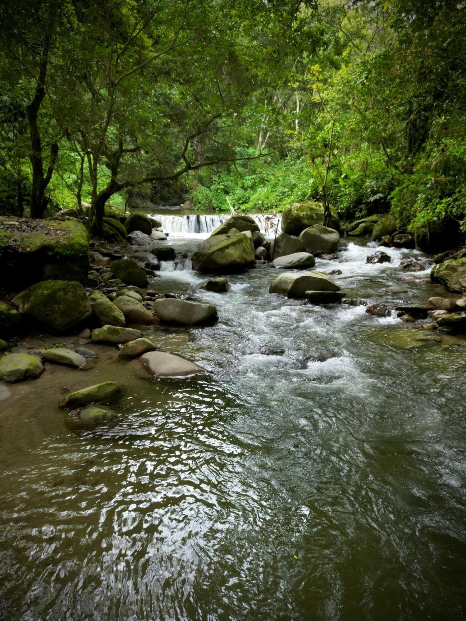 Las Cabanas Del Rio Minca Exteriér fotografie